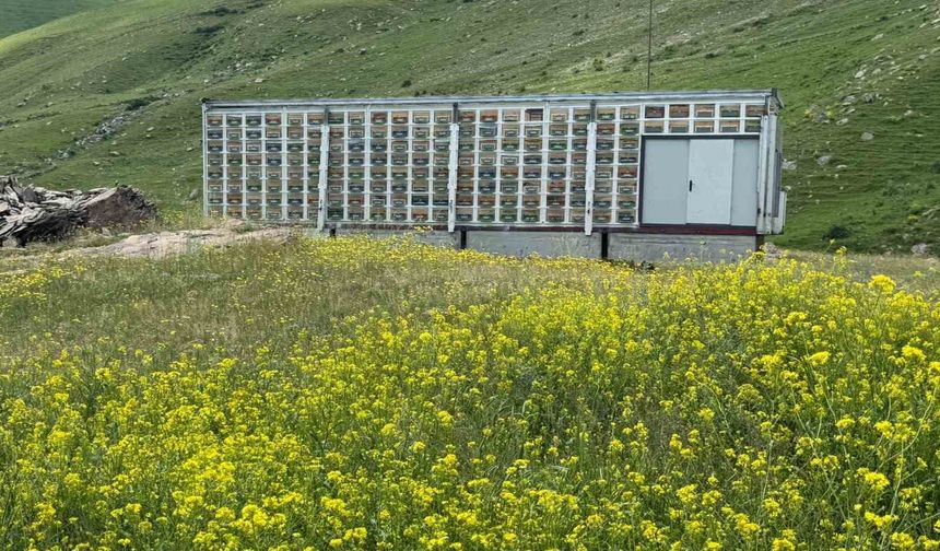Kars'ta Mobil Arıcılıkta Yeni Dönem