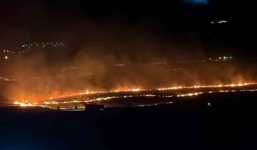 Tatvan Ve Ahlat Arasında Çıkan Yangında 300 Dönüm Alan Zarar Gördü