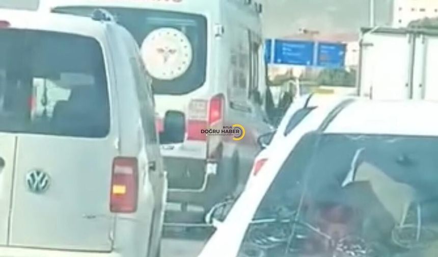 Bitlis’te Ambulans Bile Kuyrukta Kaldı!