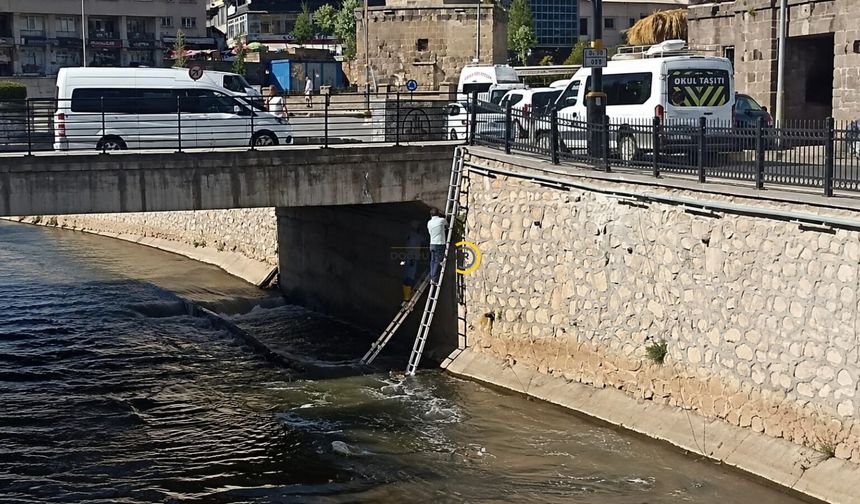 Bitlis Deresi Yeniden Işıldıyor