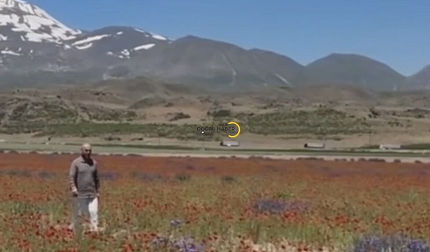 Bitlisli Sanatçı Gürhan Ötün’den Adilcevaz’ı Anlatan Özel Klip