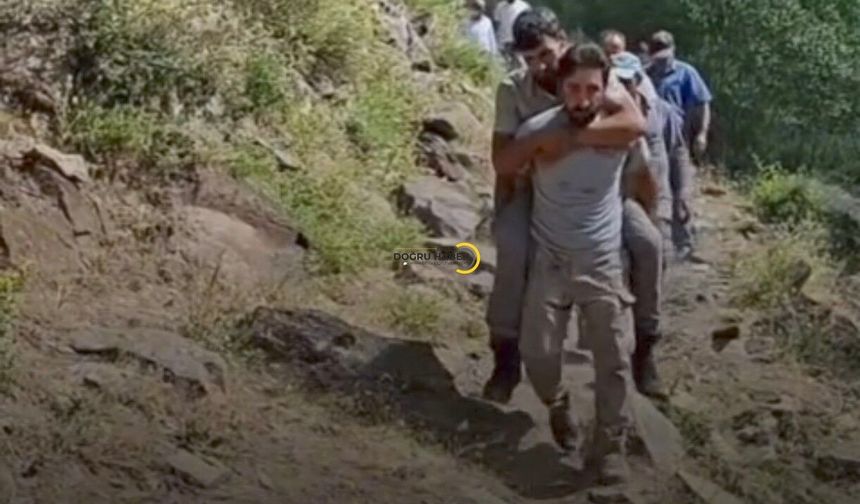 Hizan’da Çoban Ayı Saldırısına Uğradı