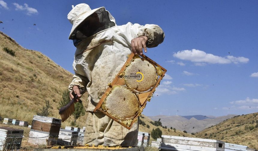 Bitlis Balında Bereketli Sezon Beklentisi