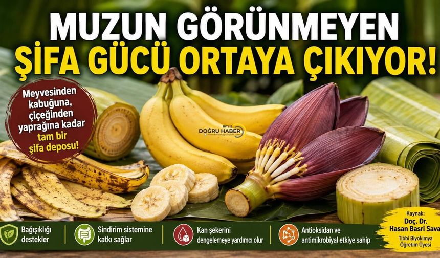 Muzun Görünmeyen Şifa Gücü Ortaya Çıkıyor!