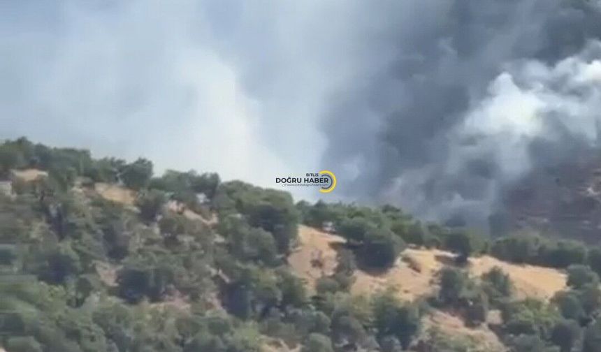 Bitlis’te Yangın Paniği! Alevler Geniş Alana Yayıldı