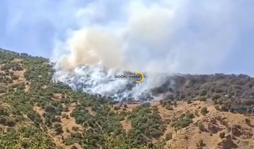 Bitlis’te Söndürülen Yangın Yeniden Başladı!