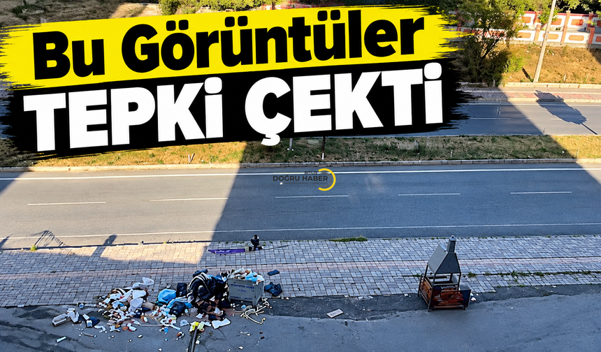 Bitlis’te Bu Görüntü Tepki Çekti!
