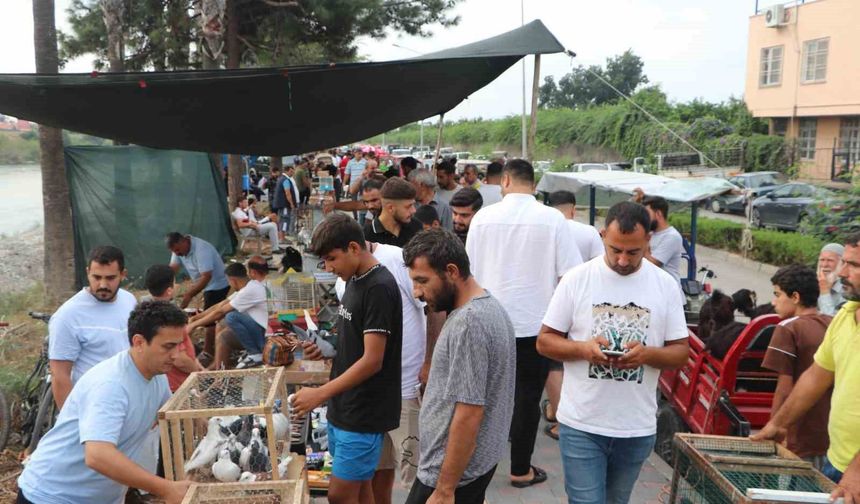 Adana’da Kuş Tutkunlarının Buluşma Noktası