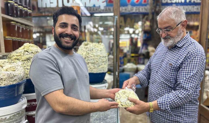 Van’ın Küp Peyniri Tezgâhlara Çıktı