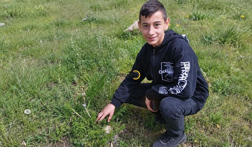 Bitlis’te 17 Yaşındaki Genç Hayatını Kaybetti