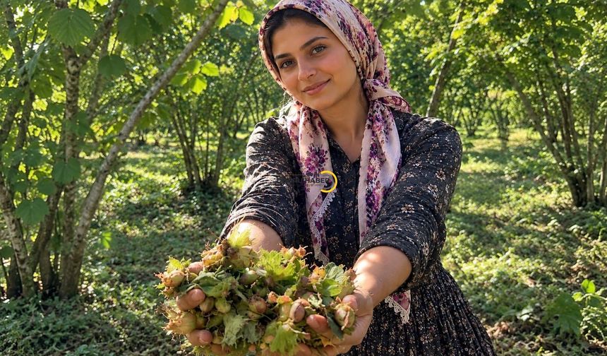 Hizan, Karadeniz Dışındaki Önemli Fındık Üretim Merkezlerinden Biri