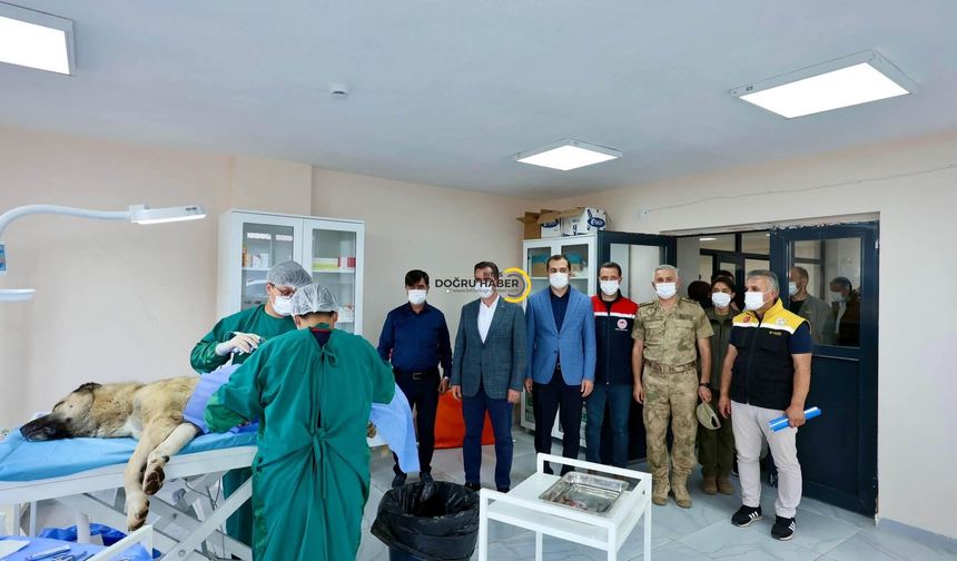 Vali Karakaya, Hayvan Bakımevi ve Doğal Yaşam Alanı’nı İnceledi