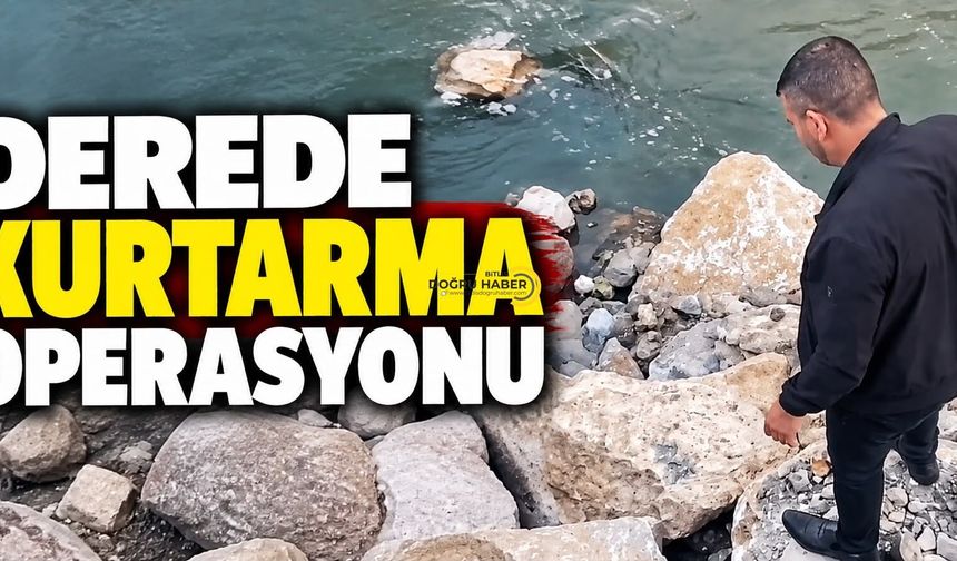 Bitlis’te Dereye Düşen Güvercini Duyarlı Vatandaş Kurtardı