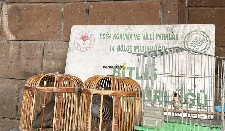 Bitlis’te Kaçak Avcılığa 85 Bin TL Ceza: Keklik ve Saka Kuşları Koruma Altına Alındı