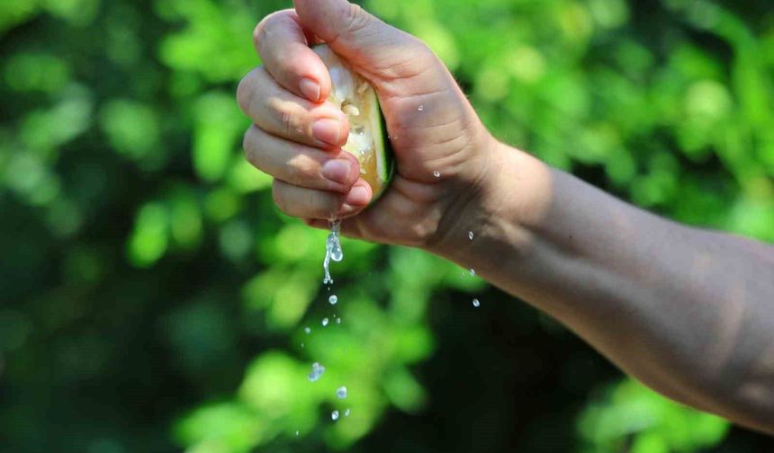 Adana’da Limon 5 Liraya, Mandalina 7 Liraya Düştü