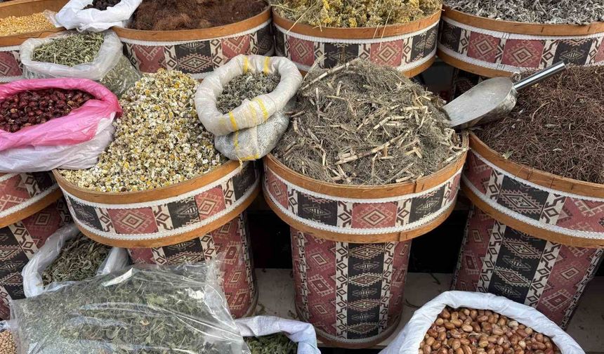 Iğdır’da Soğuk Hava Baharatçılara Yaradı