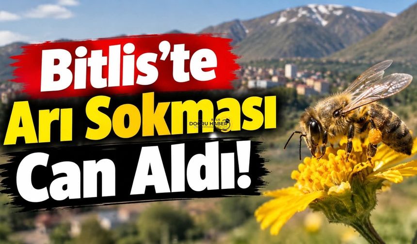 Bitlis’te Arı Sokması Can Aldı!