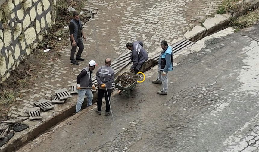 Bitlis’te Mazgallarda Temizlik Seferberliği!