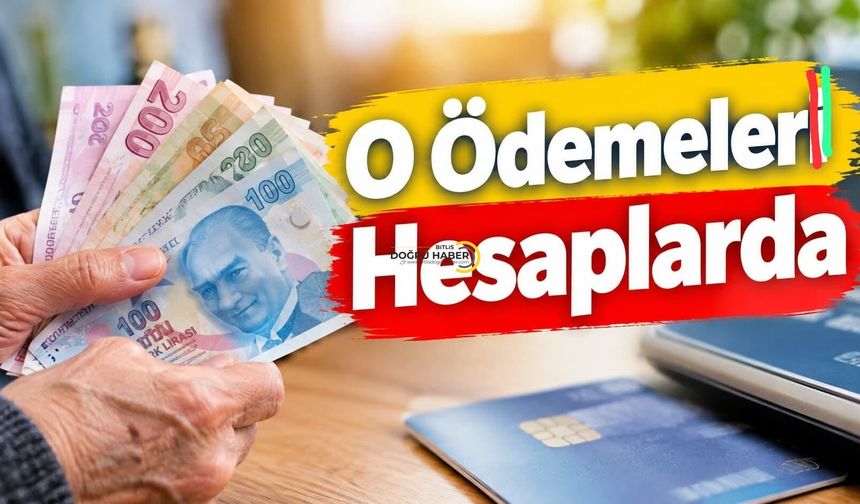 O Ödemeler Hesaplarda