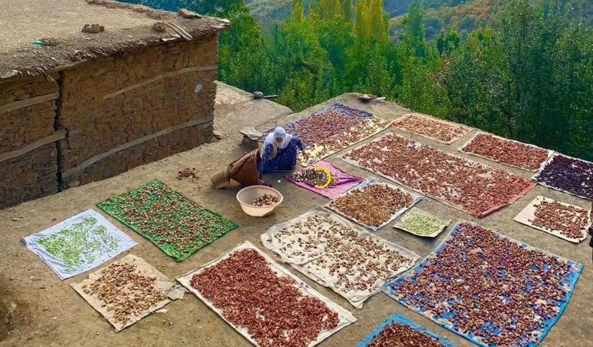 Bitlis’te Yazın Bereketi Kışa Hazırlanıyor: Meyve ve Sebzeler Kurutuluyor