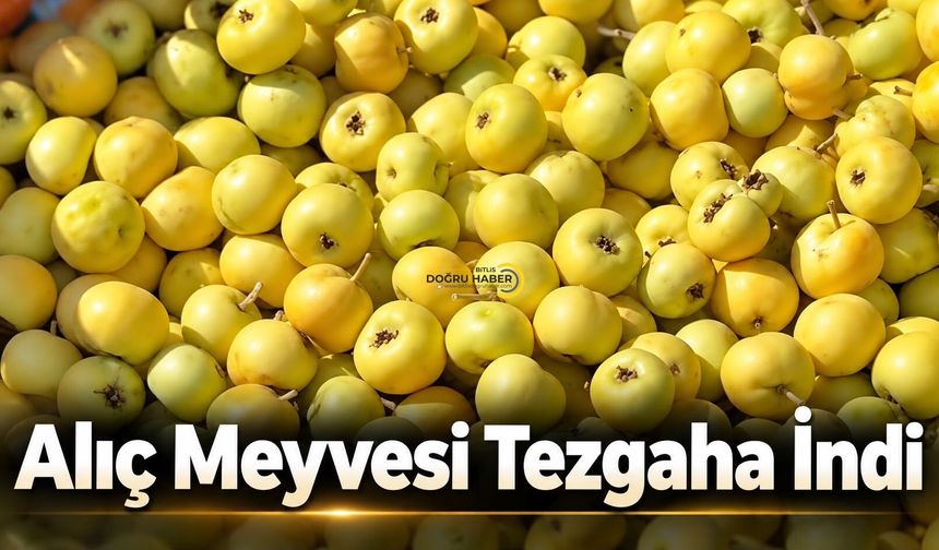 Sonbaharın Vazgeçilmez Meyvesi Alıç (Haziran) Tezgâhlarda Yerini Aldı