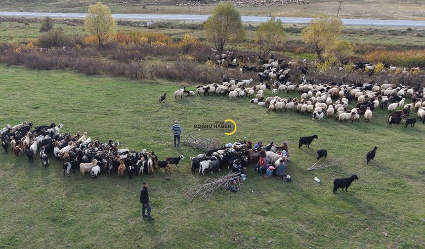 Göçerlerin Van’dan Siirt’e zorlu dönüş yolculuğu