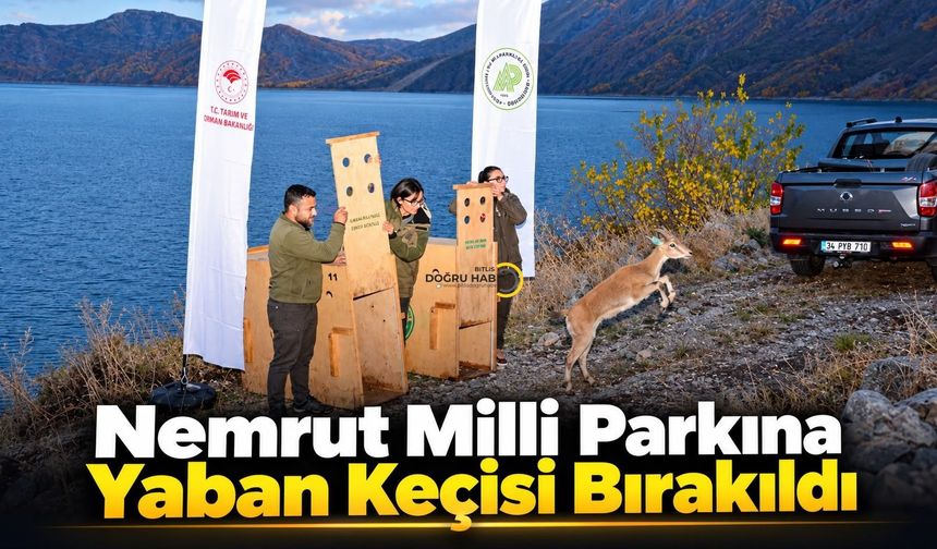 Bitlis Nemrut Kalderası’nda Sürpriz Gelişme!