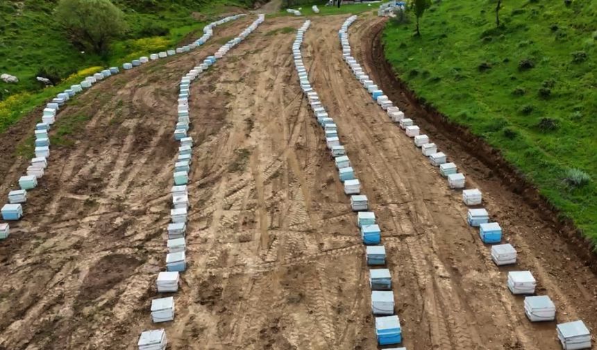 Arıcılar Yeni Sezona Hazırlanıyor